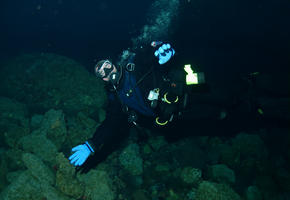 Hubert Diving at the MCM Jetty