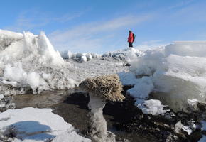 Giant Sponge at the surface of Dirty Ice